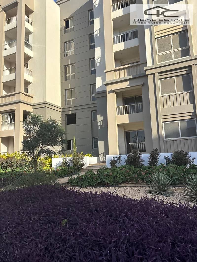 14 WhatsApp Image 2024-10-30 at 2.36. 45 PM (2). jpeg