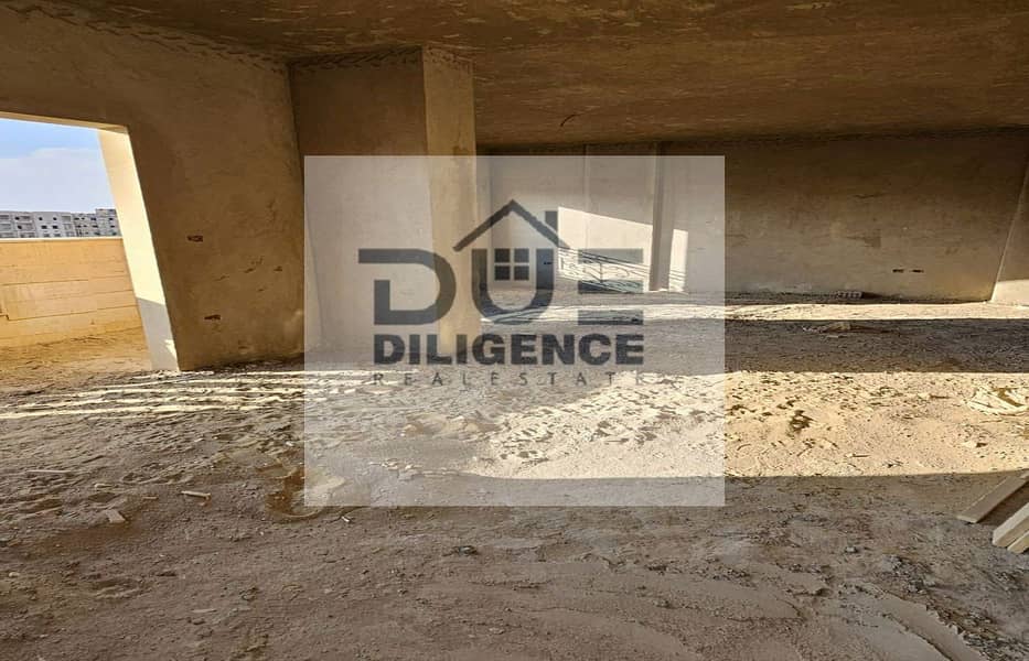 5 اللوتس الجنوبيه_1400x900. jpg