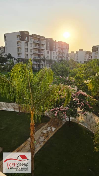 2 Bedroom Apartment for Rent in Madinaty, Cairo - IMG-20251117-WA0184. jpg