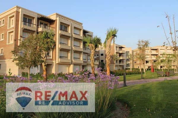 9 new-giza-600x400. jpg