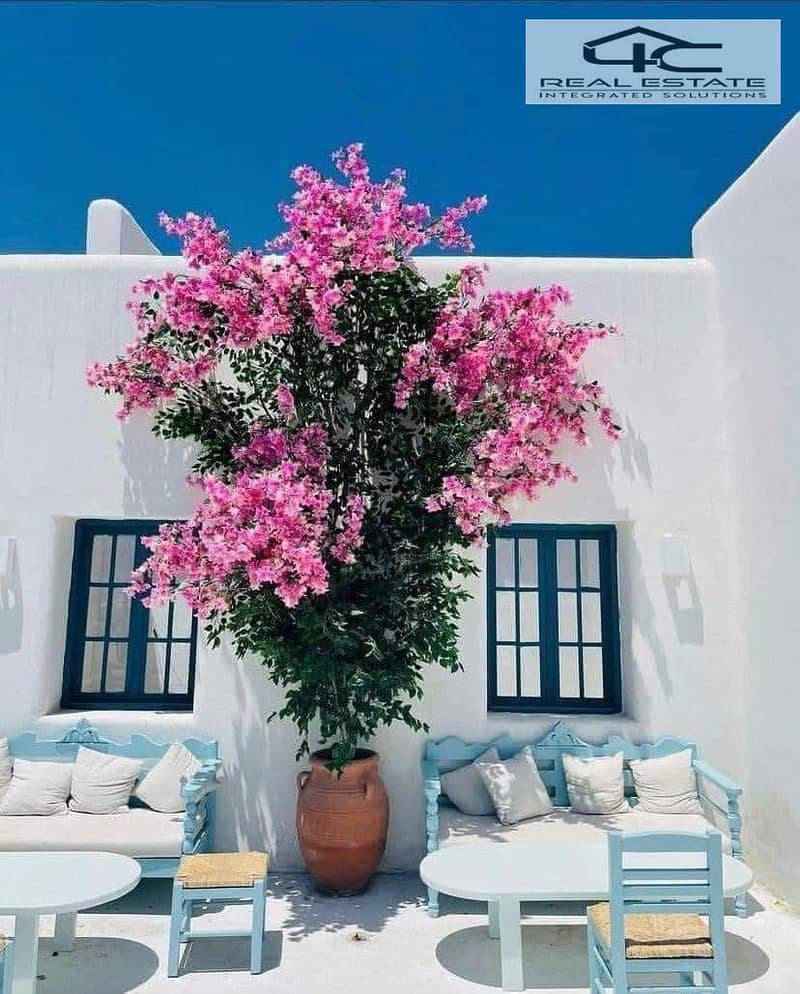 10 WhatsApp Image 2025-10-13 at 6.38. 55 PM. jpeg