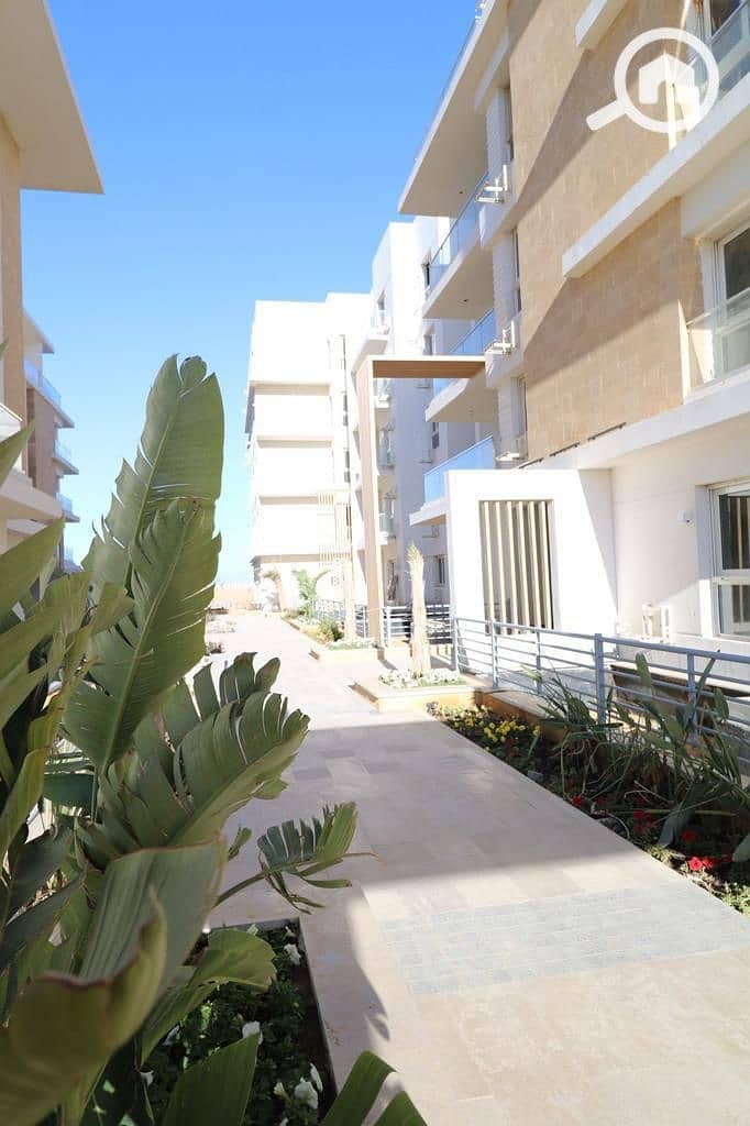 10 4559975e-1646-4fd9-b26f-f129c4728ac7. jpeg