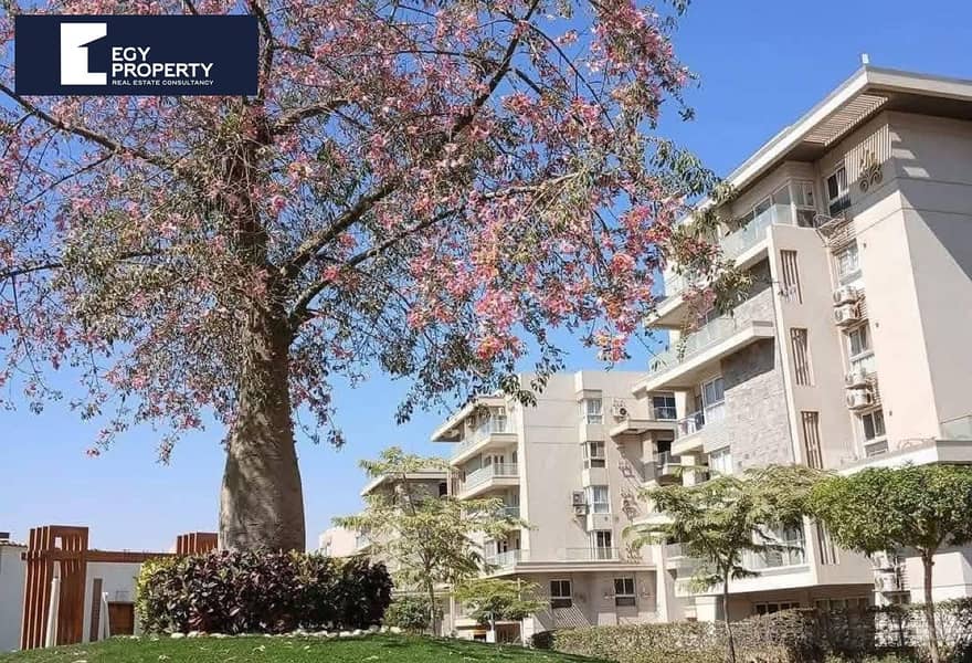 5 b6c36b1a-08ff-48cc-ab6b-773765e24c05. jpg