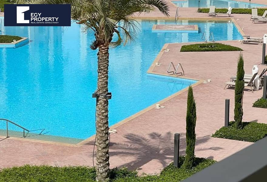 4 6463ca81-d6a4-4d5a-83ae-47f6ff3f99dd (1). jpg