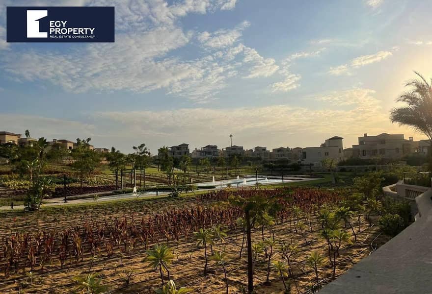 4 64ce24eb-0c23-485d-b65b-fe7082978e00 (1). jpg