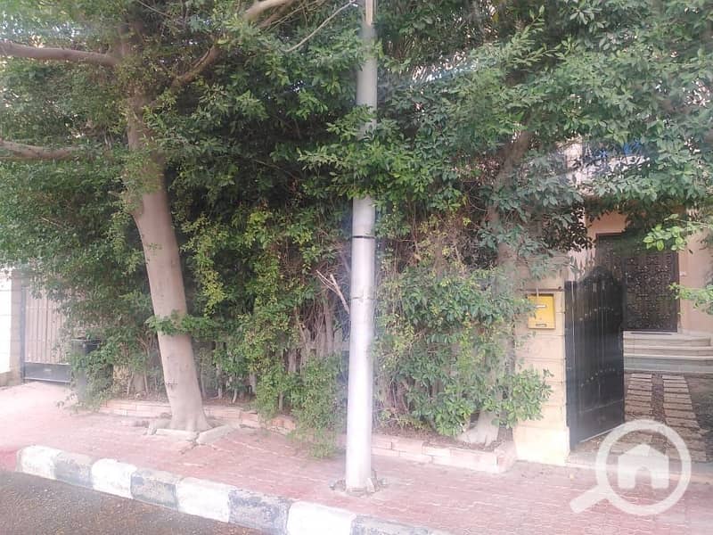 6 WhatsApp Image 2025-10-20 at 12.51. 24 AM (1). jpeg