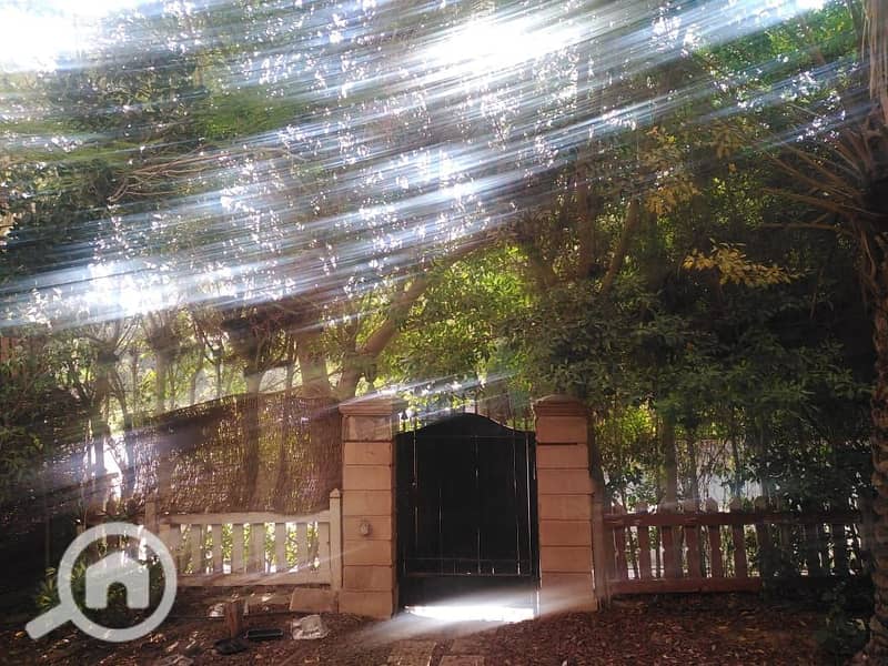 14 WhatsApp Image 2025-10-20 at 12.51. 25 AM (5). jpeg