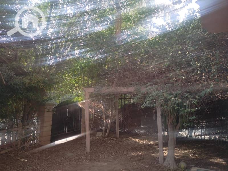 16 WhatsApp Image 2025-10-20 at 12.51. 26 AM (1). jpeg