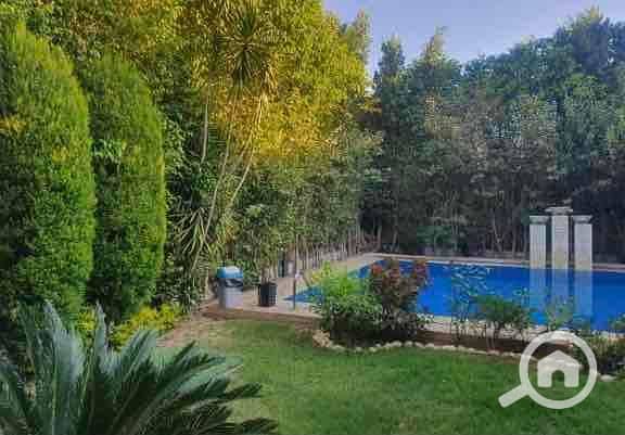 2 270d9312-a28a-4a07-9563-ef53bb2d3272. jpg