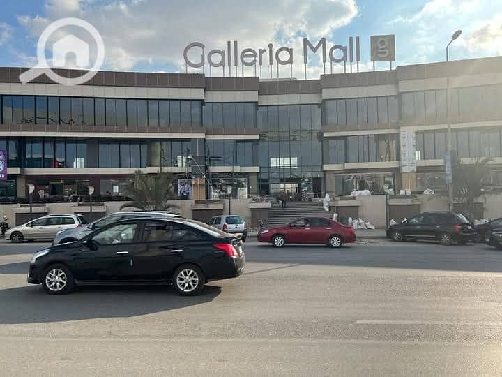 photo_2025-02-19_01-01-23. jpg