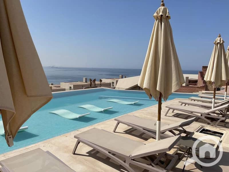 6 528638053_627109257106712_4296954925037426464_n. jpg