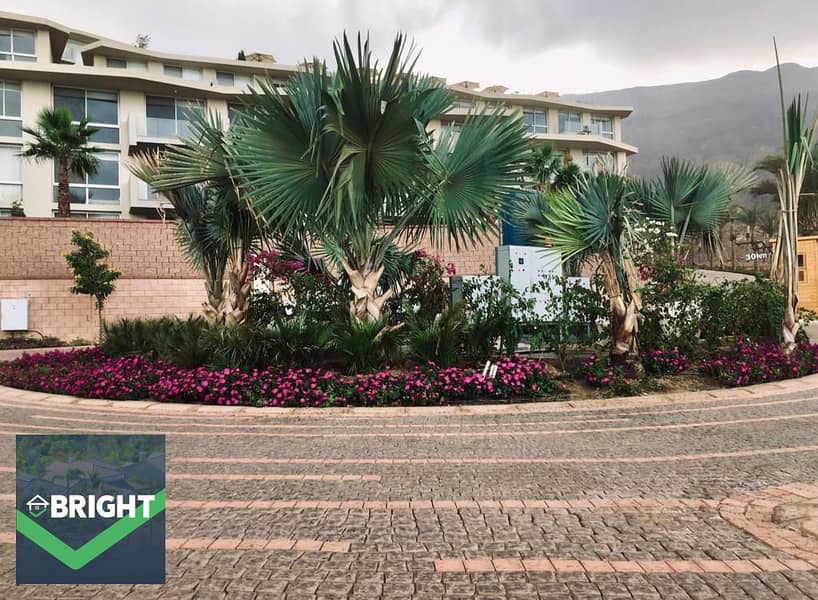 2 6680cd3f-572c-4ad3-85ca-c80c249b6c2b. jpg