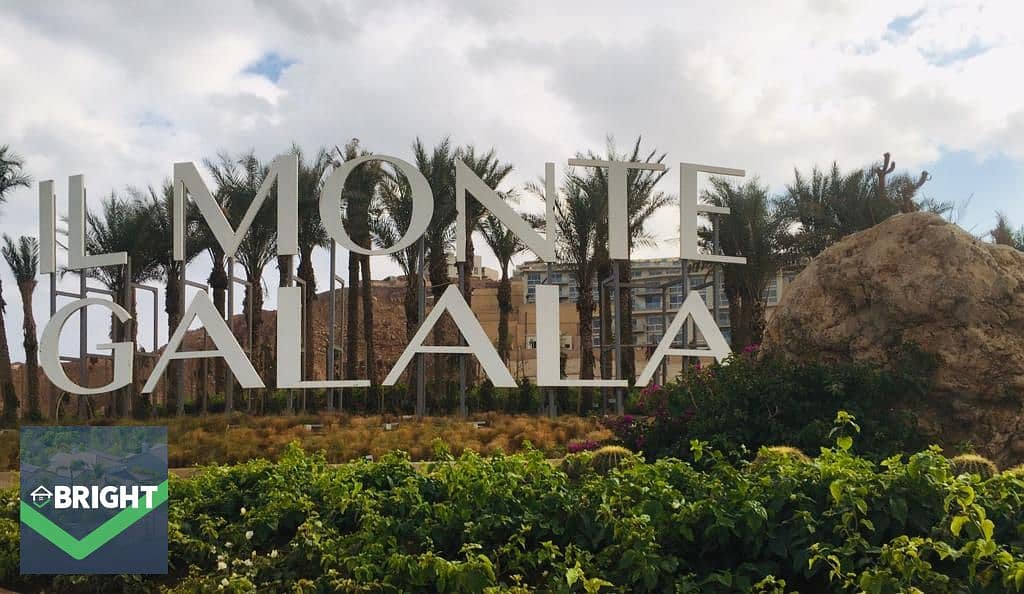 5 bc3ad98d-b74d-4d0a-9aa5-261e31efa8f1. jpg