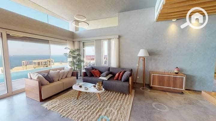 2 photo_2025-02-01_22-53-03. jpg