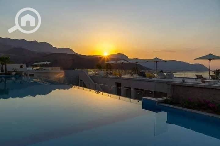 7 photo_2025-02-01_22-53-05. jpg