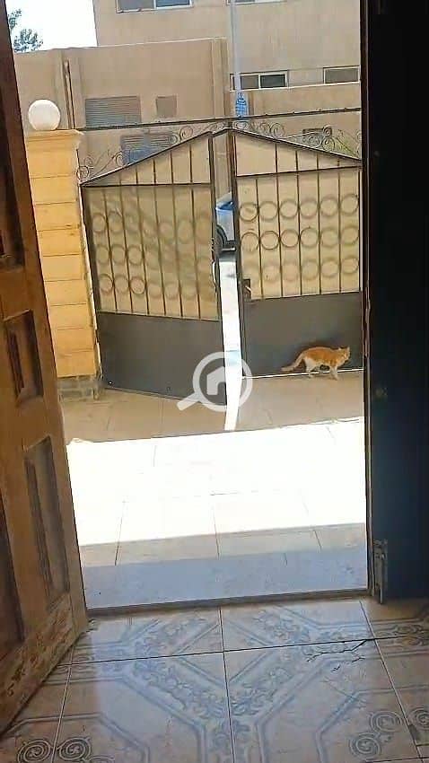 IMG-20251117-WA0002. jpg