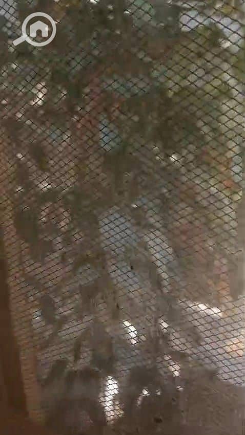 8 IMG-20251117-WA0009. jpg