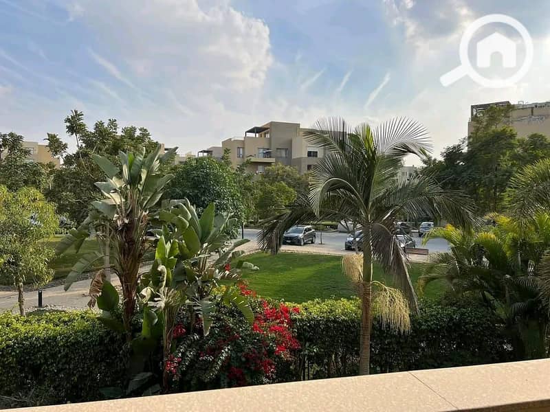 10 571010580_122142532064922617_5664077437942438062_n. jpg