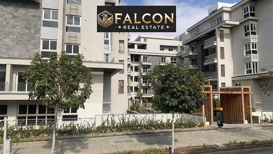 4 566730435_779032234945692_8651597883959808556_n. jpg