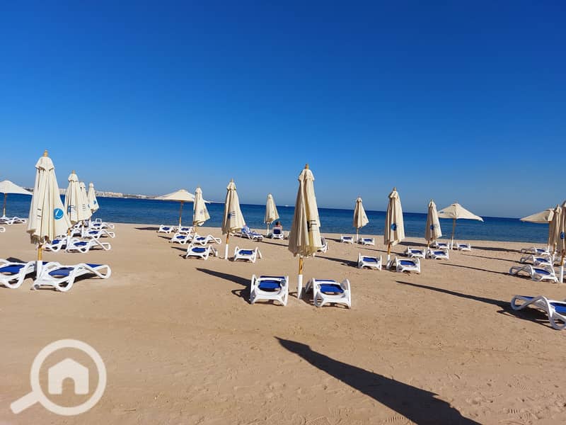 13 20241223_134336. jpg