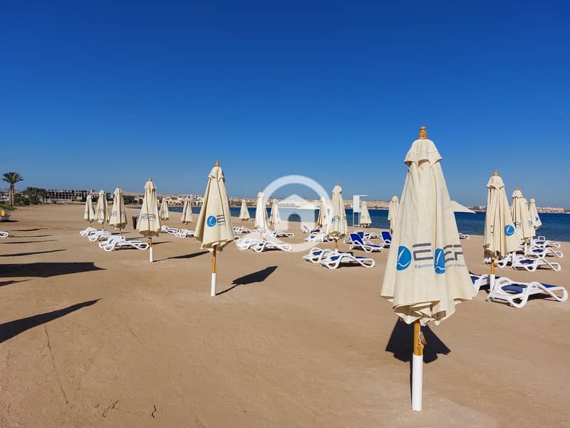 14 20241223_134339. jpg