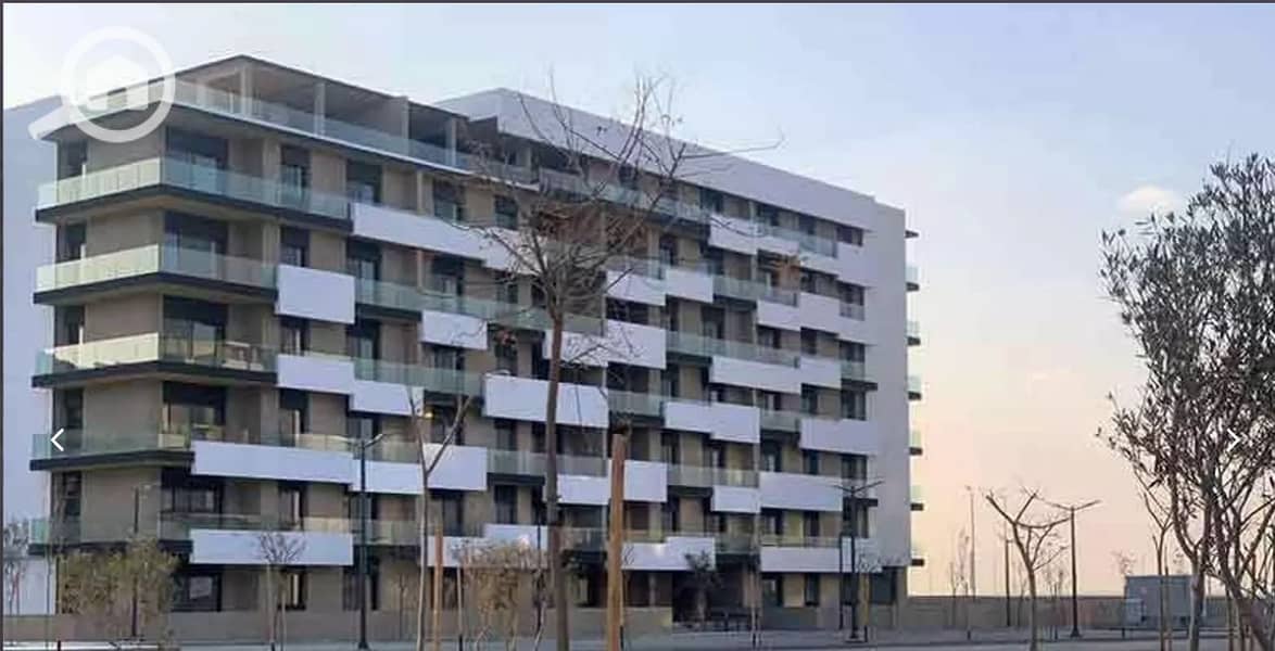 5 WhatsApp Image 2024-01-18 at 1.15. 42 PM (1). jpeg