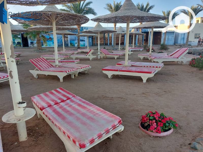 13 20231121_162136. jpg