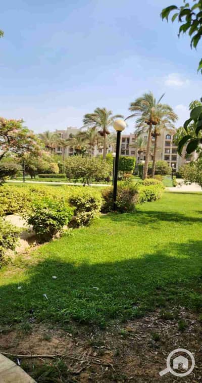 1 Bedroom Flat for Rent in New Cairo, Cairo - 1000743746. jpg 1 Bedroom Flat for Rent in New Cairo, Cairo - 1000743746. jpg