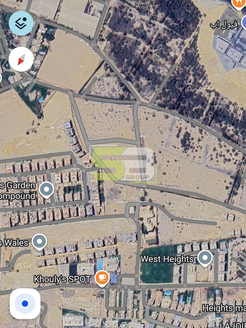 1000370646. jpg 1000370646. jpg