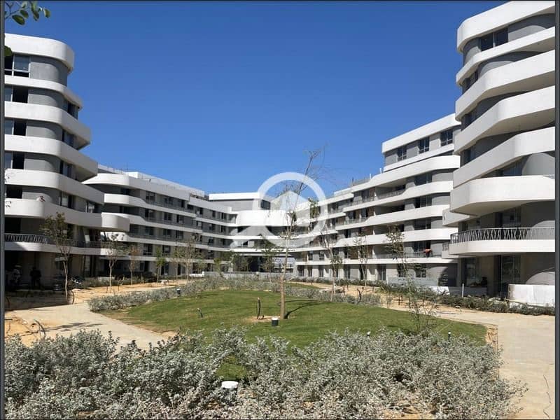 3 WhatsApp Image 2025-11-04 at 12.43. 41_91c5571f. jpg