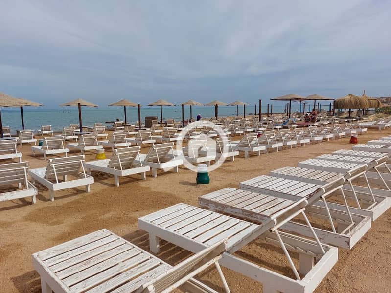 13 20241121_120201. jpg