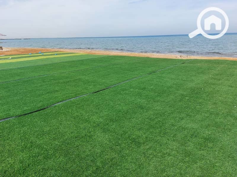 14 20241121_120226. jpg