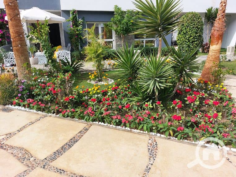 17 20241121_120800. jpg