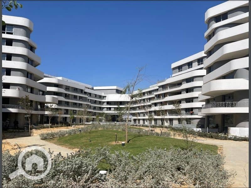 4 WhatsApp Image 2025-11-04 at 12.43. 41_91c5571f. jpg