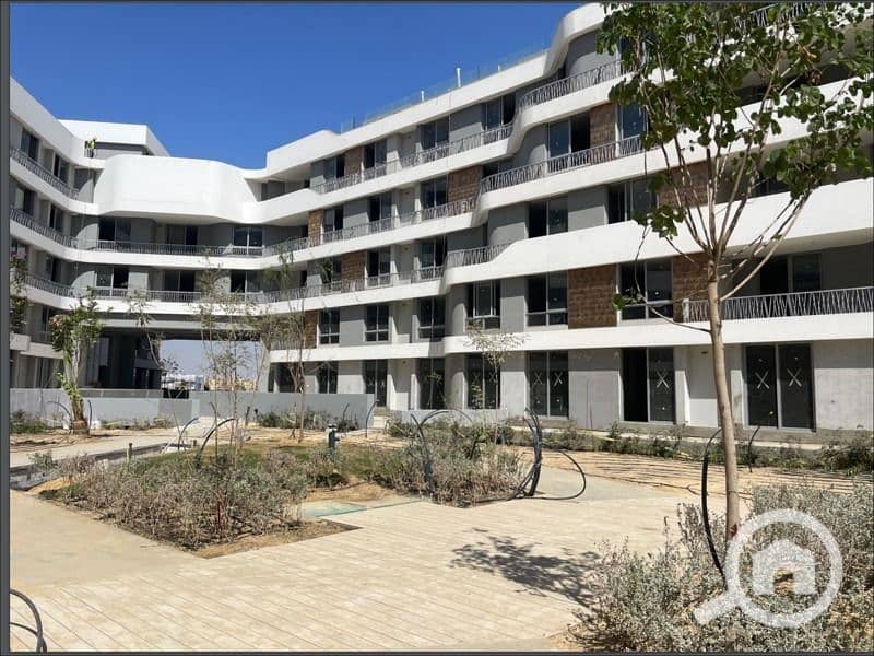 5 WhatsApp Image 2025-11-04 at 12.43. 42_8c424a6a. jpg