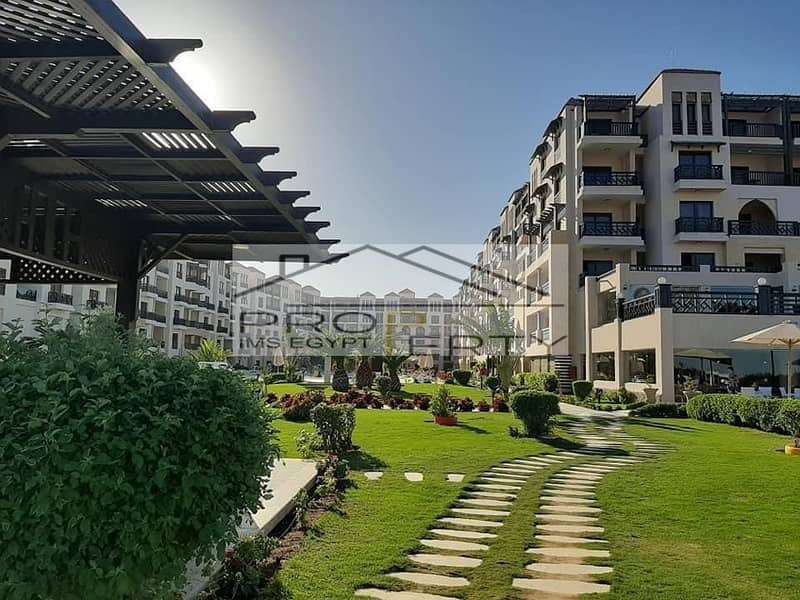 2 8cd738e8-e878-4006-9cd8-b4d684acd7e7. jpg