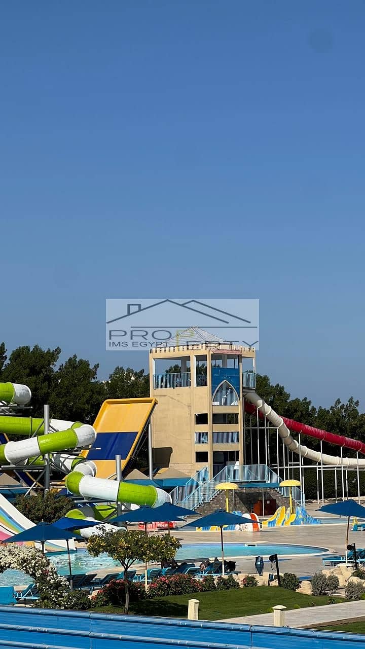 3 3150f29c-92f7-4d61-93fb-30f37e89d3d0. jpg