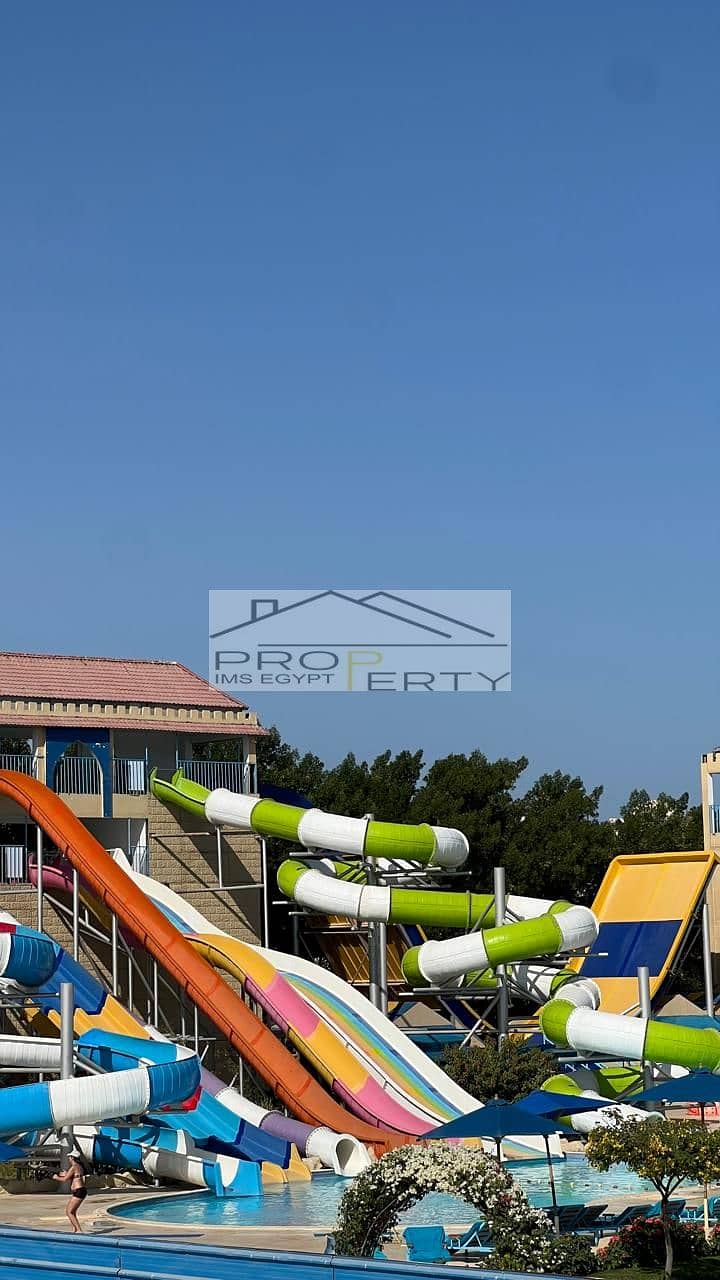 5 30d9b3ed-43ed-431b-b834-124b94804ea1. jpg