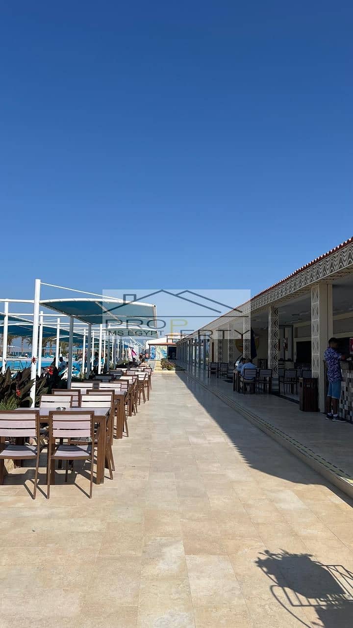 6 e3ebeb02-79d8-4007-ad93-ac3e1ce7b360. jpg