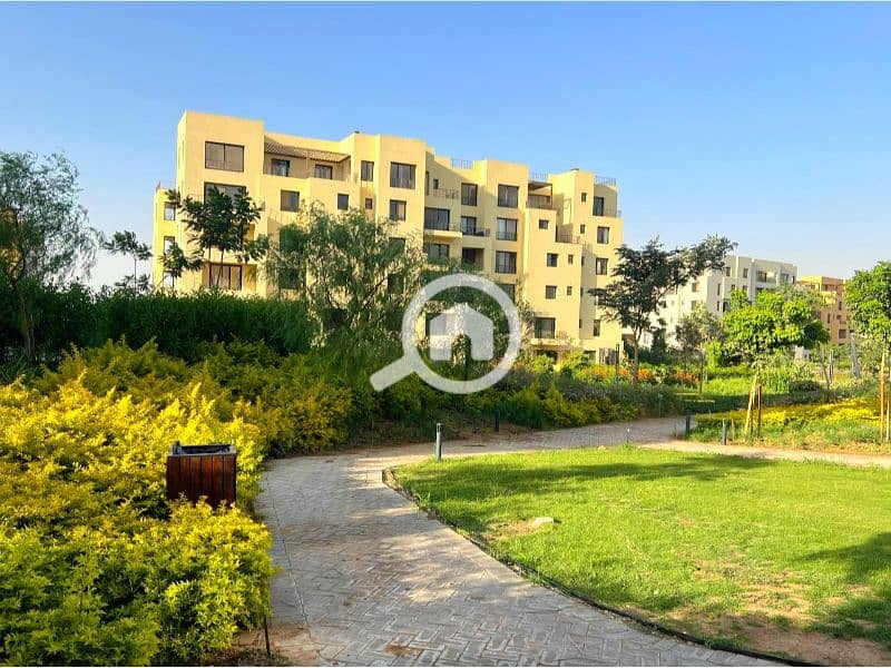 4 5e411b5e-b775-4e8f-85ae-7fce90732b06. jpg