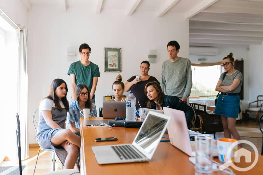 7 pexels-hillaryfox-1595385. jpg