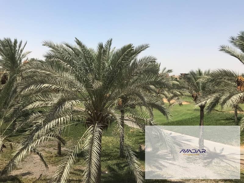 5 IMG-20251023-WA0154. jpg