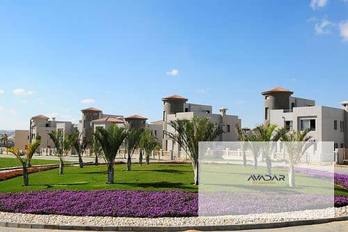 8 medium_9aVQutzwERuZS8qsG1T4iVZ8sKx5HV. jpg