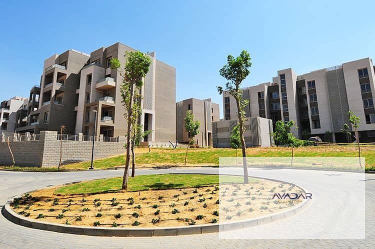 10 WhatsApp Image 2025-10-22 at 20.01. 50_e7d4751a. jpg