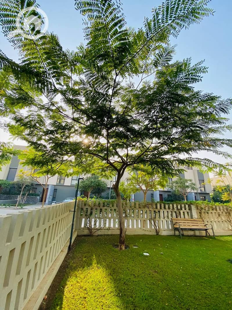 10 photo_2023-12-06_21-47-45. jpg