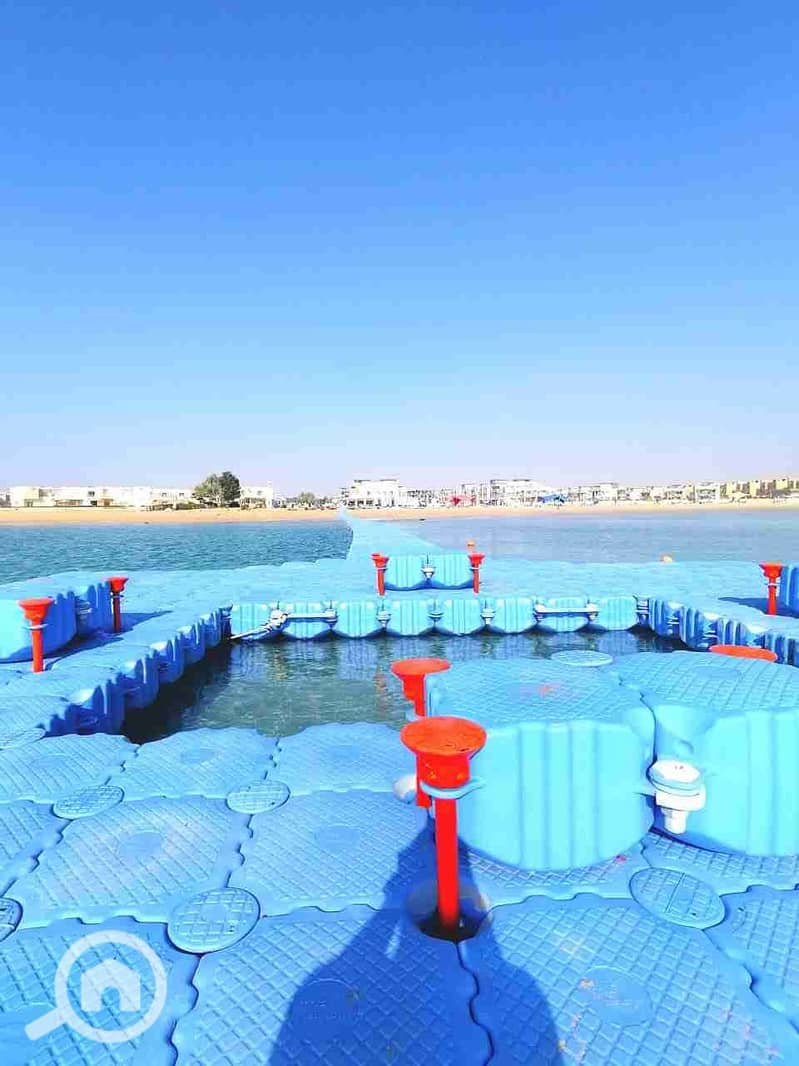 6 IMG_20210927_140825_374. jpg