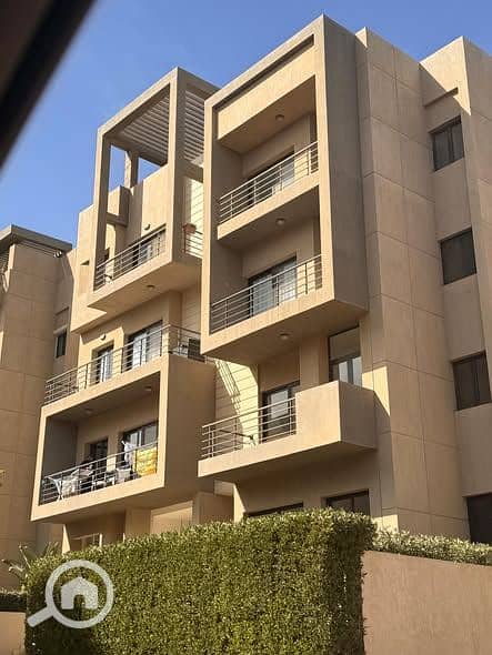 8 568227281_2912225902295458_1201606508066707808_n. jpg