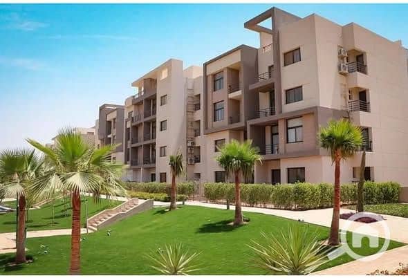 9 581867496_122187689366454881_6413308840298789021_n. jpg