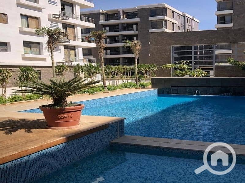 4 329994199_890379152005033_316255051582800806_n. jpg