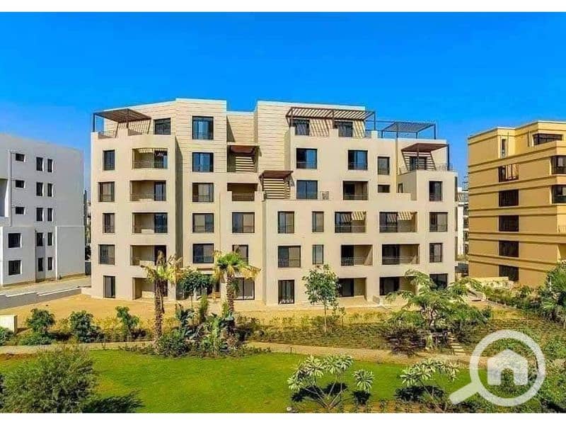 9 81b341ae-374c-4798-a23c-fa5a49e8a29c. jpg